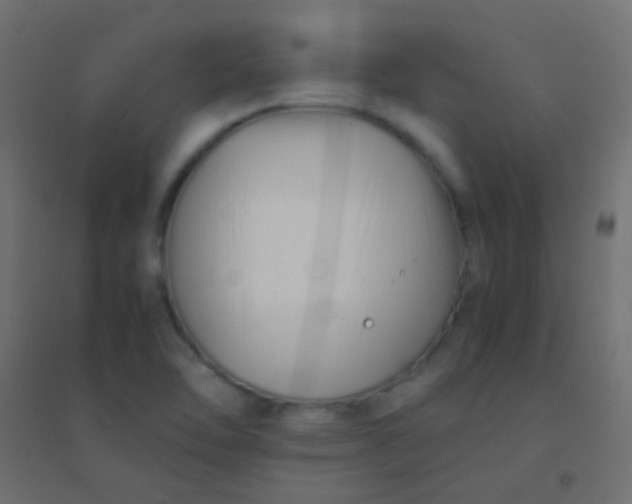 X0000094931462200712131526