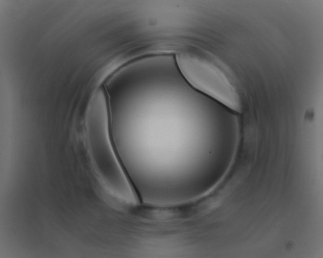 X0000094931465200712131526