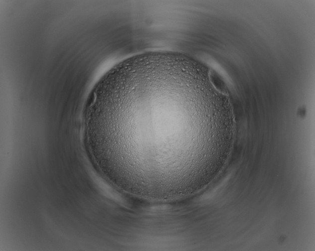 X0000094931467200712131526