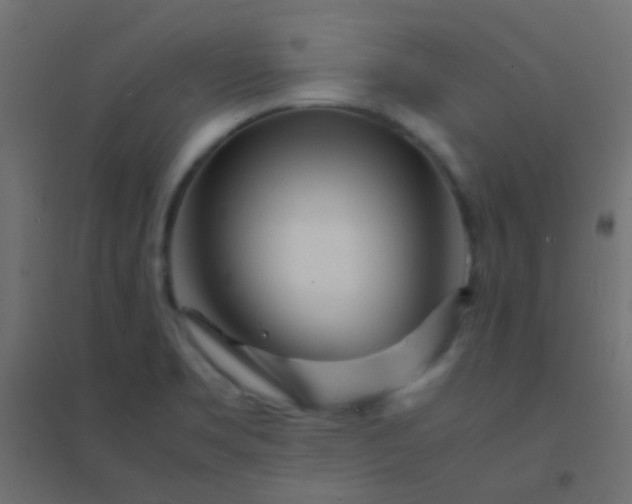 X0000094931469200712131526