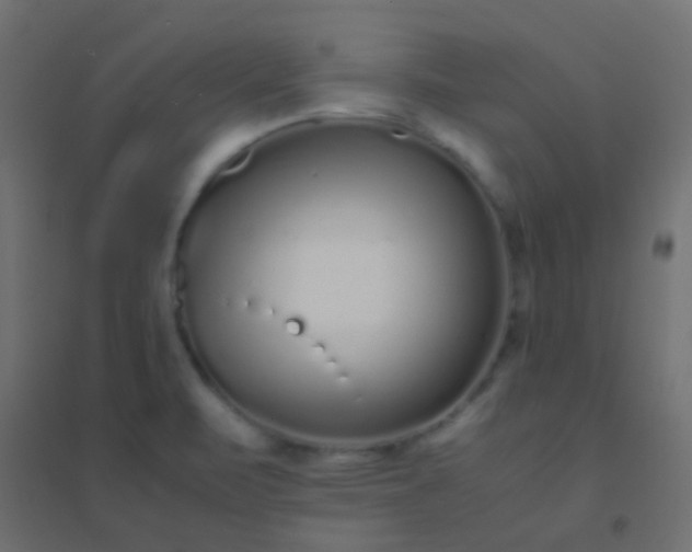 X0000094931471200712131526