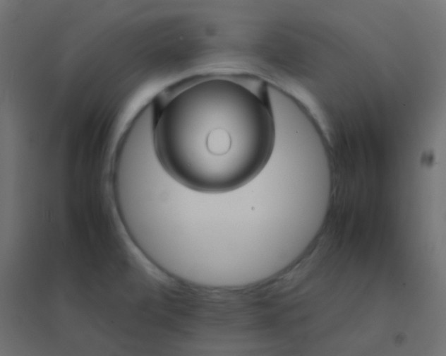 X0000094931472200712131526