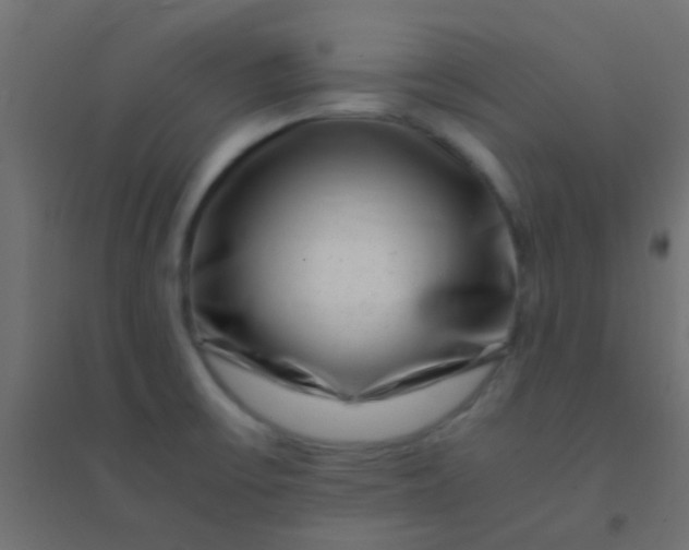 X0000094931475200712131526
