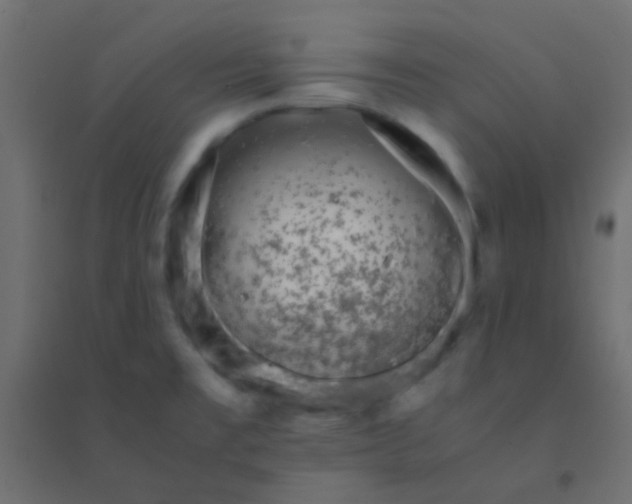 X0000094931477200712131526