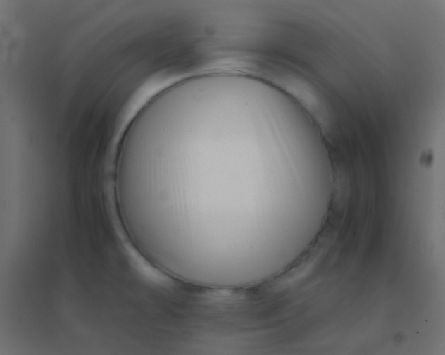 X0000094931478200712131526