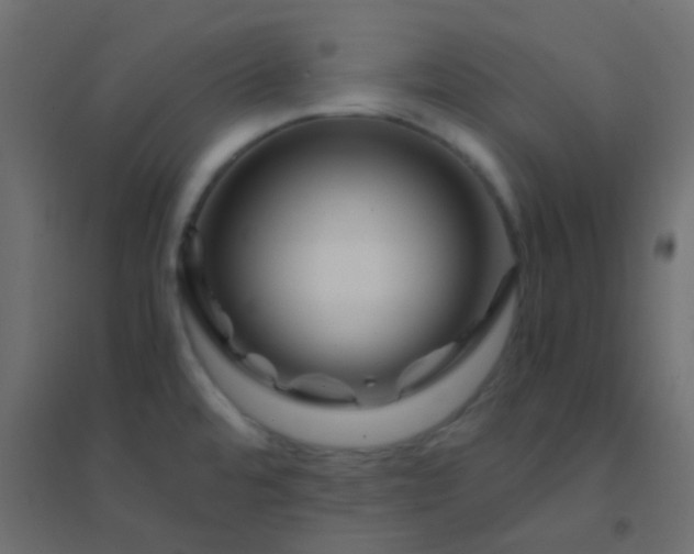 X0000094931480200712131526