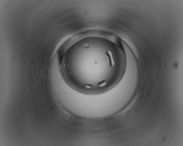 X0000094931481200712131526