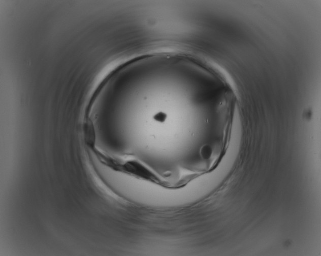 X0000094931483200712131526