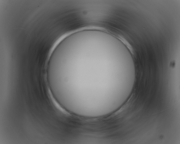 X0000094931484200712131526