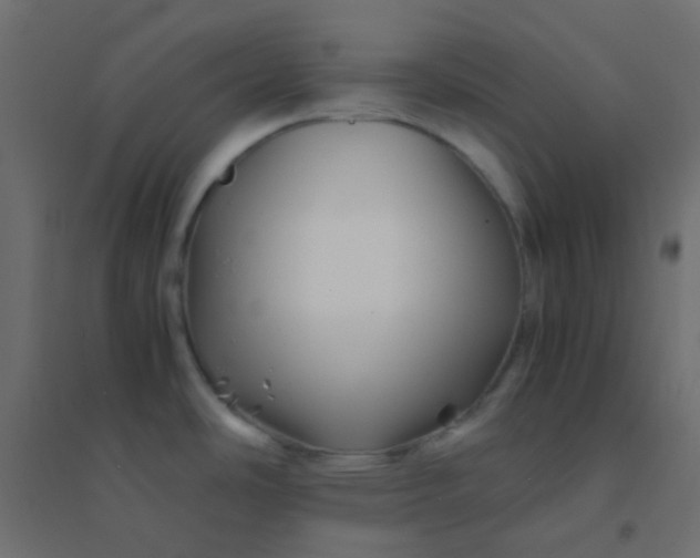 X0000094931486200712131526