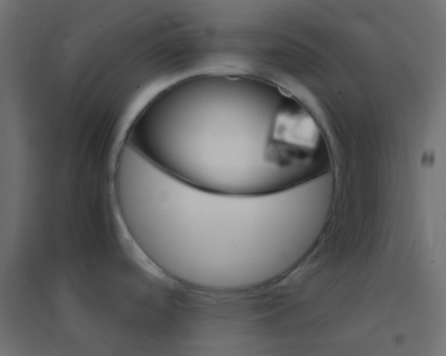 X0000094931488200712131526