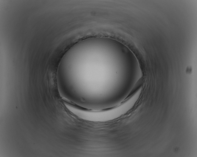 X0000094931490200712131525