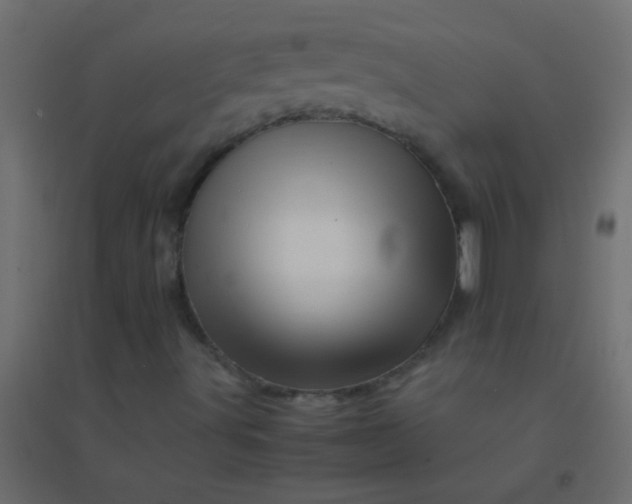 X0000094931491200712131525