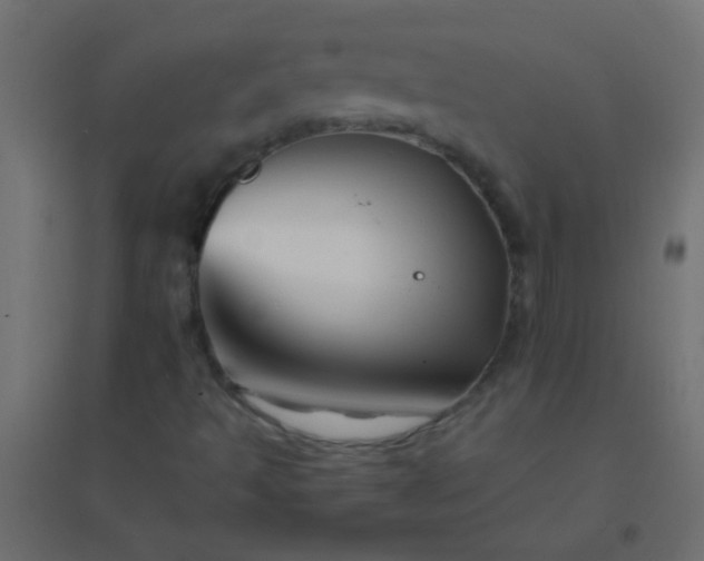 X0000094931493200712131525