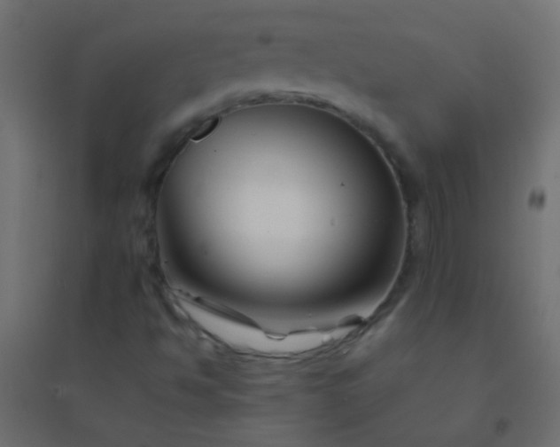 X0000094931494200712131525
