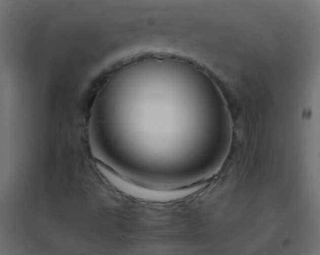 X0000094931495200712131525