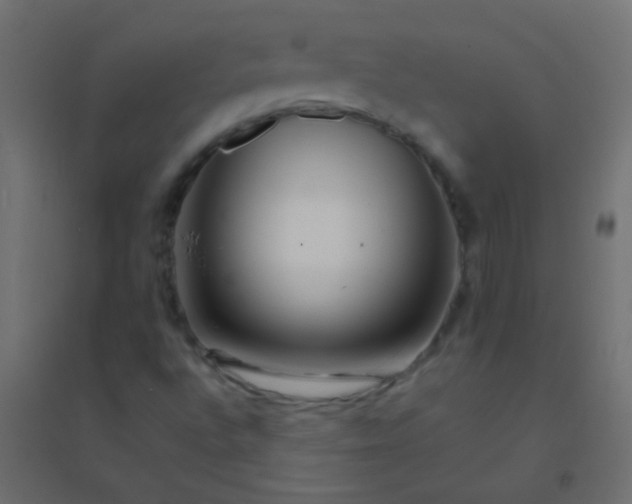 X0000094931496200712131525