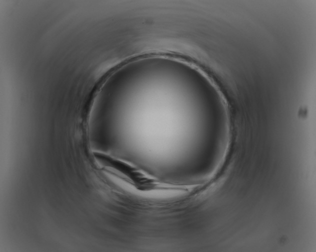 X0000094931497200712131525