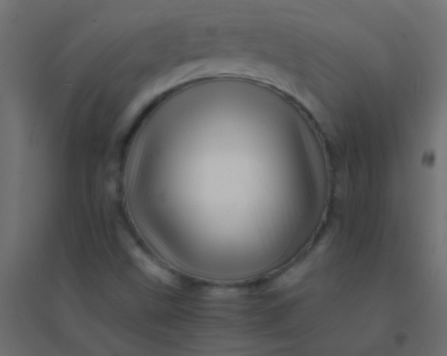 X0000094931499200712131525