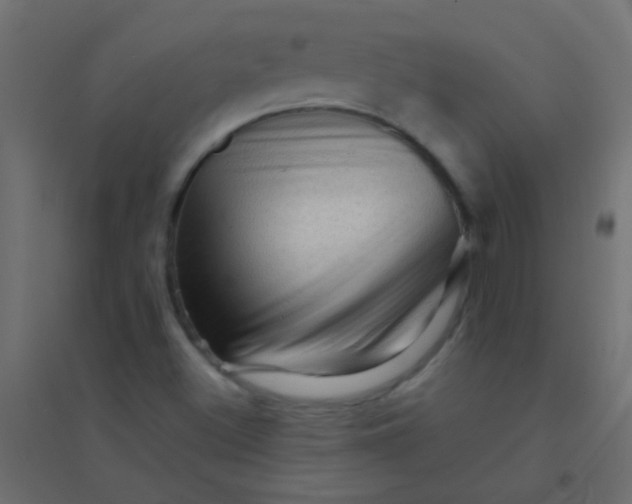 X0000094931500200712131525