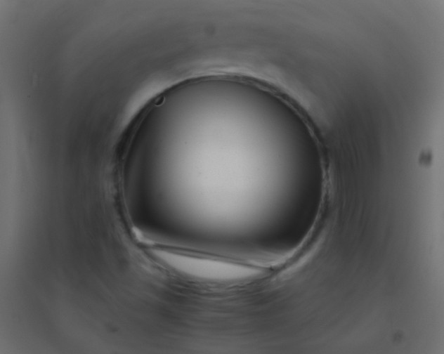 X0000094931501200712131525