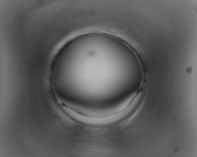 X0000094931502200712131525