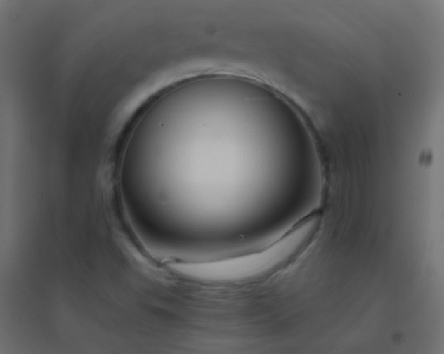 X0000094931503200712131525