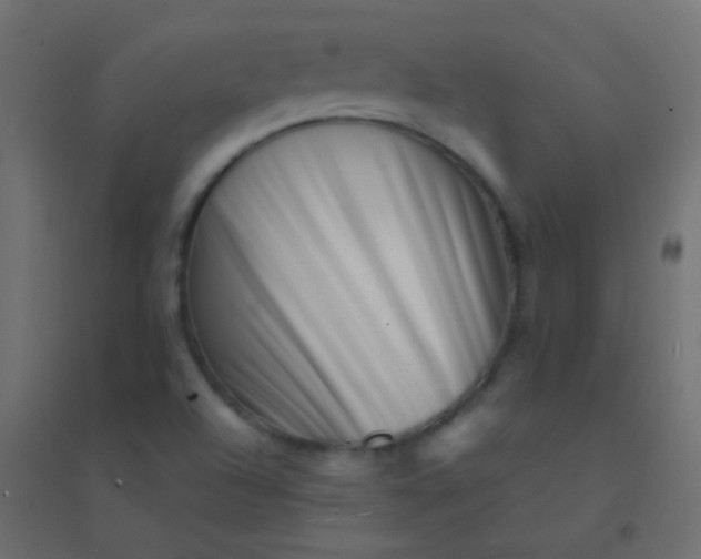 X0000094931504200712131525