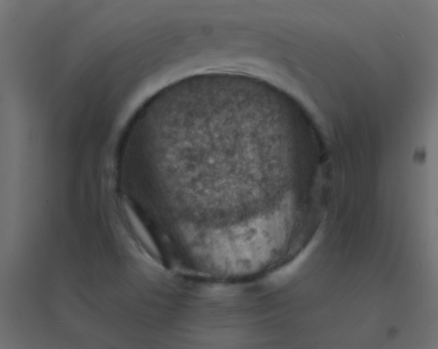 X0000094931506200712131525