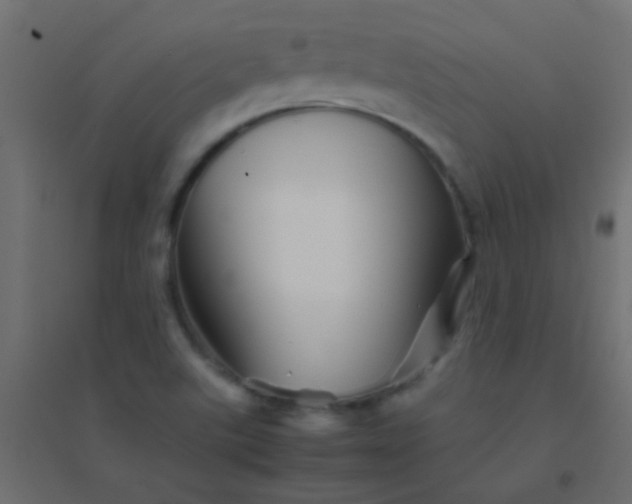 X0000094931507200712131525