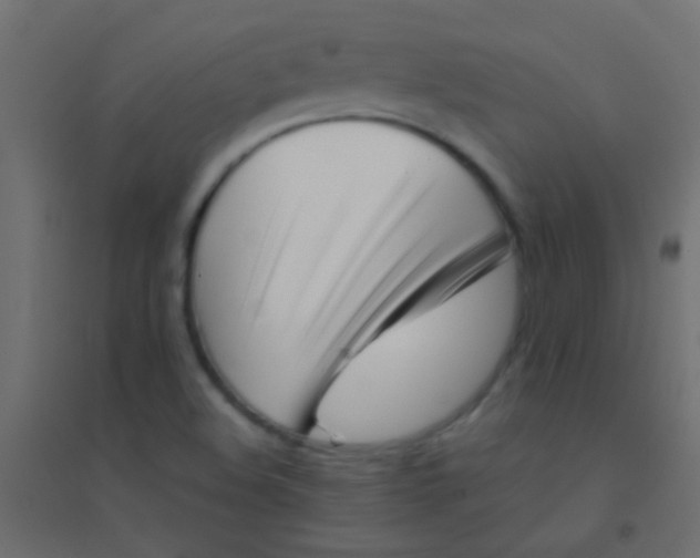 X0000094931508200712131525