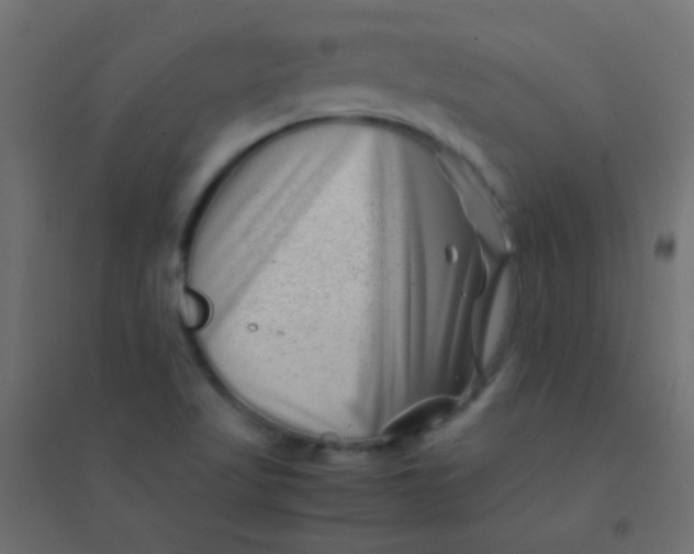 X0000094931509200712131525