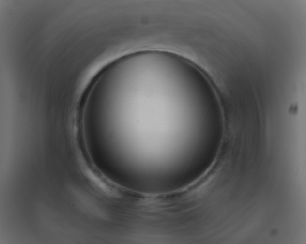 X0000094931511200712131525