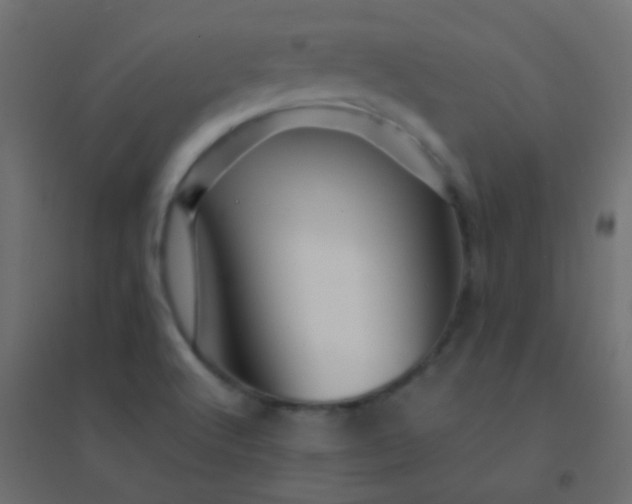 X0000094931512200712131525