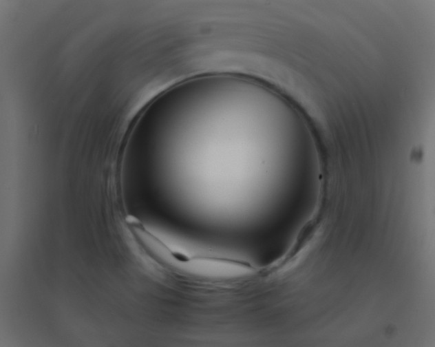 X0000094931513200712131525