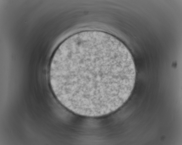 X0000094931514200712131525