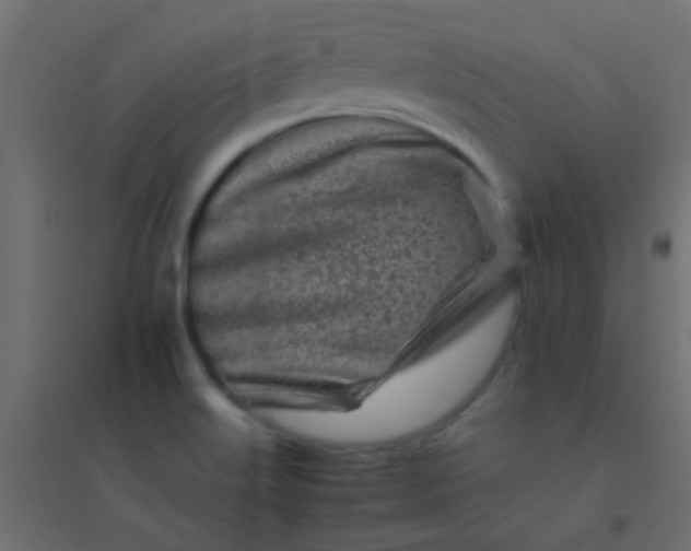 X0000094931515200712131525