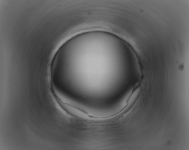 X0000094931516200712131525
