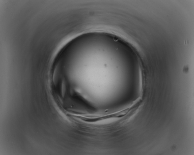 X0000094931517200712131525