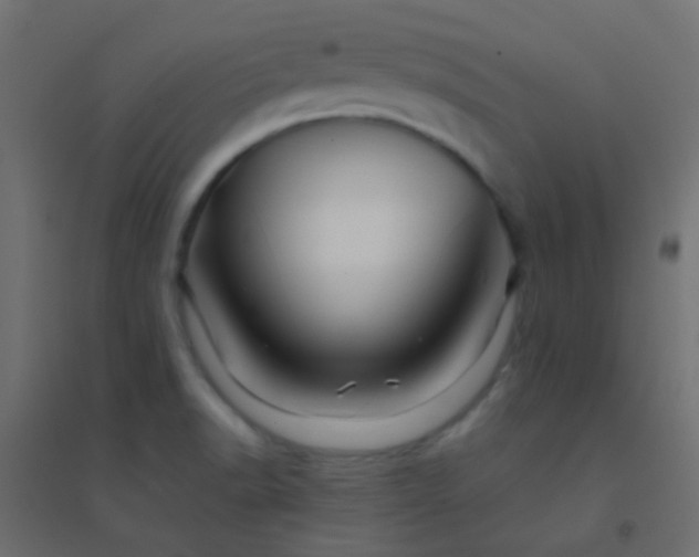 X0000094931518200712131525