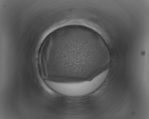 X0000094931519200712131525