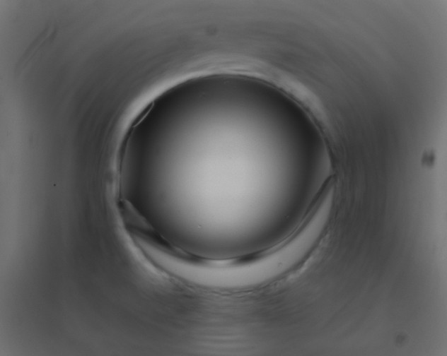 X0000094931520200712131525