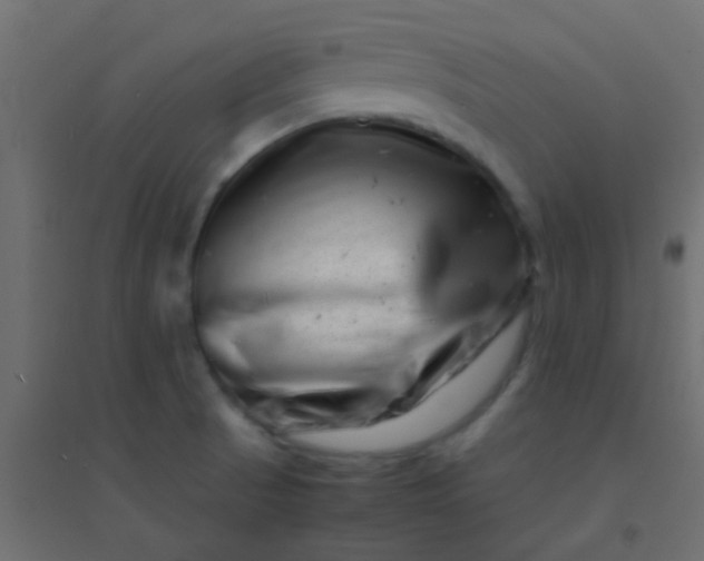 X0000094931521200712131525