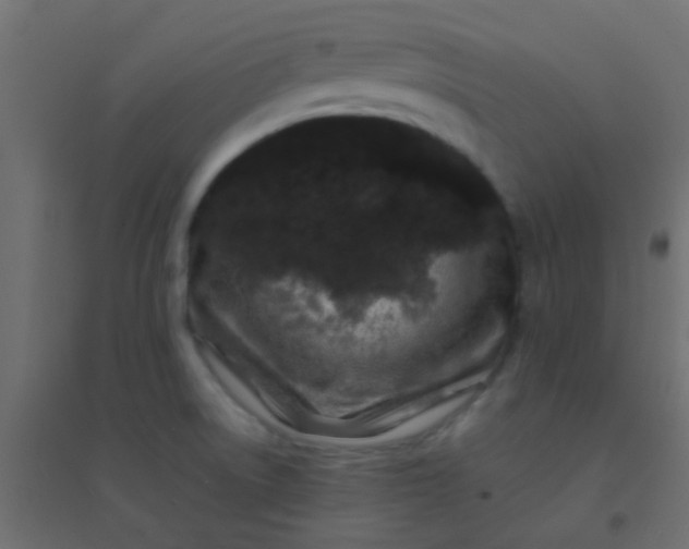 X0000094931522200712131525
