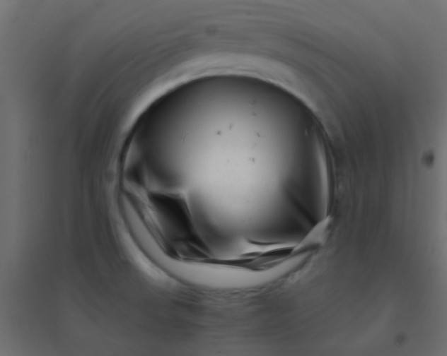 X0000094931523200712131525