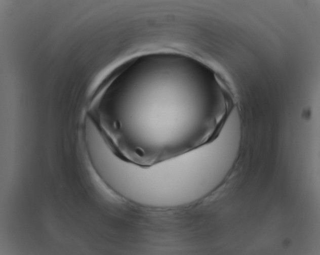 X0000094931524200712131525