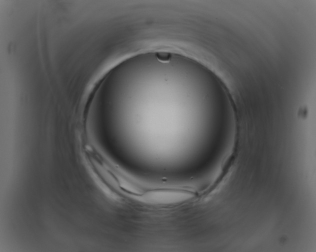 X0000094931525200712131525