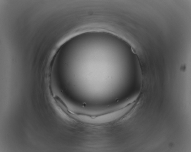 X0000094931526200712131525