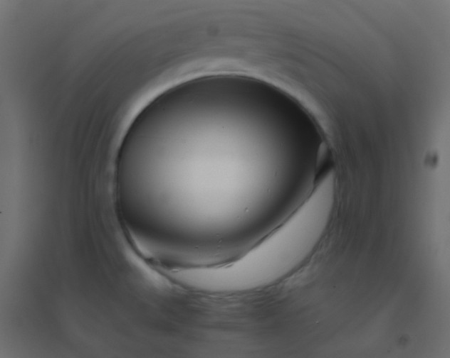 X0000094931527200712131525