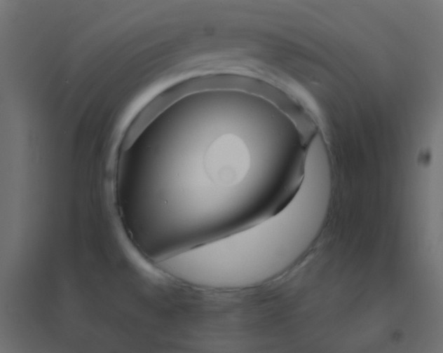 X0000094931528200712131525